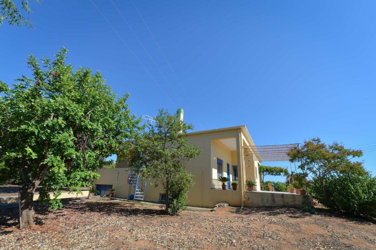 Santa Domenica Summer House Agia Kiriaki  Экстерьер фото