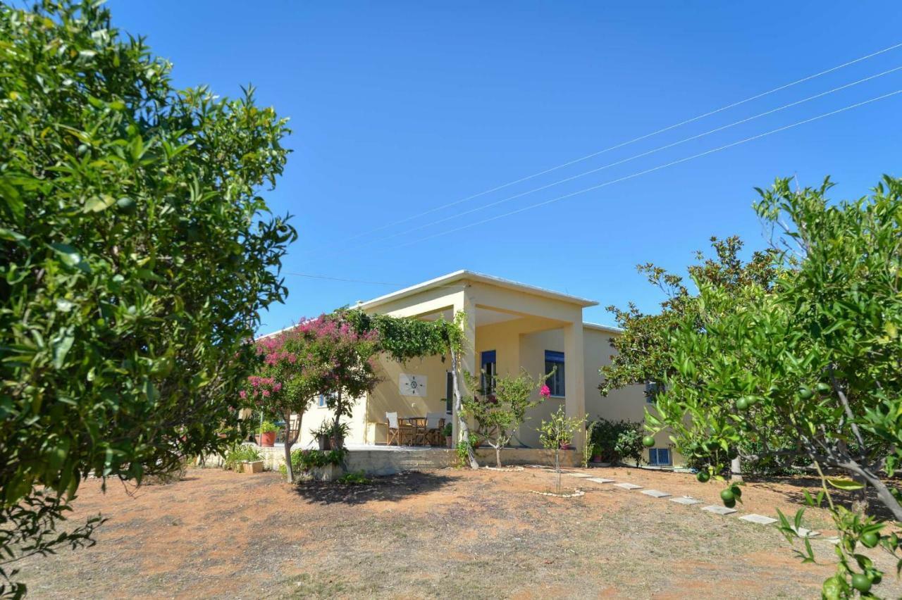 Santa Domenica Summer House Agia Kiriaki  Экстерьер фото